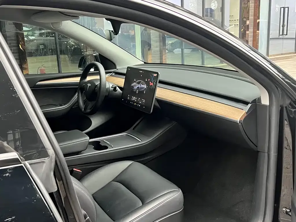 Tesla Model Y — фото 10