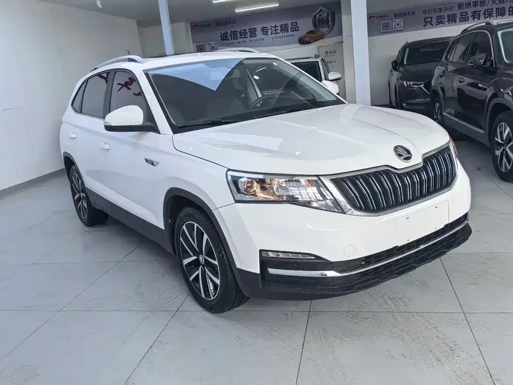 Skoda Kamiq 2022 из CN, фото 8