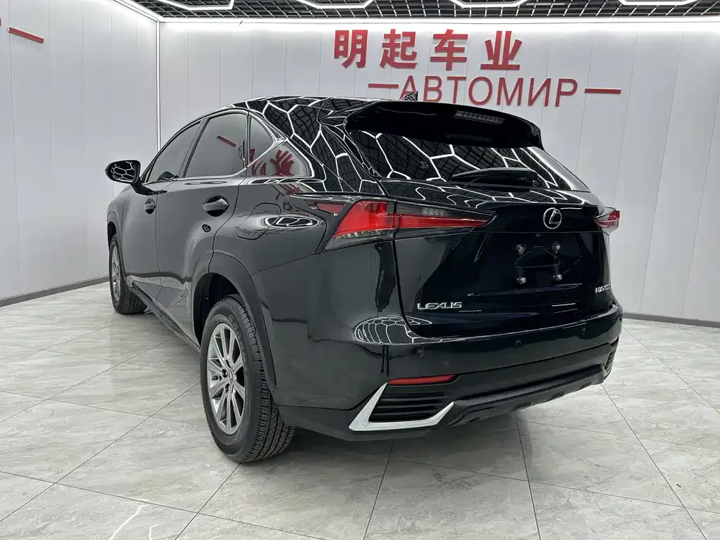 Lexus NX 2021 из CN, фото 9