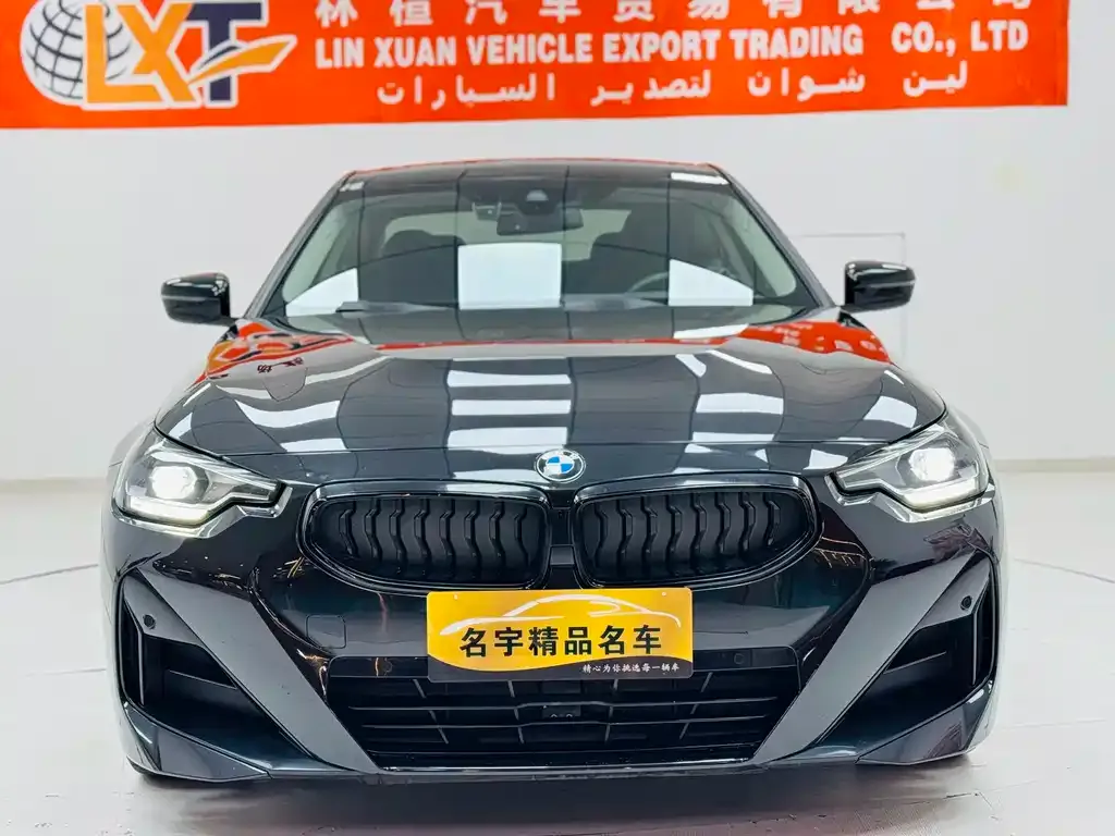 BMW 2 Series (Import) 2023 из CN, фото 6