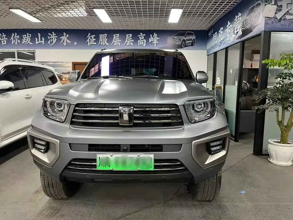 Tank 700 New Energy 2024 из CN, фото 10