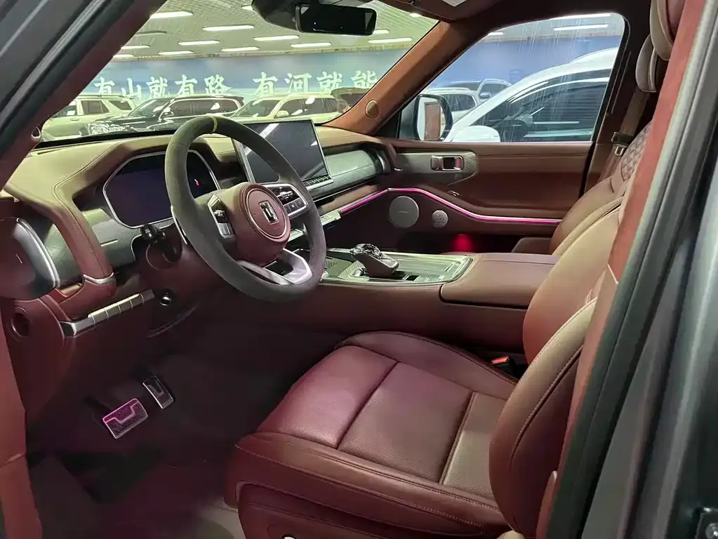 Tank 700 New Energy 2024 из CN, фото 4