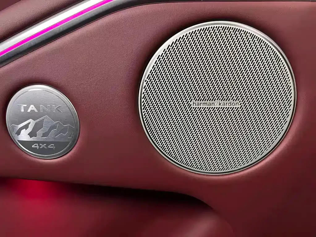 Tank 700 New Energy 2024 из CN, фото 9