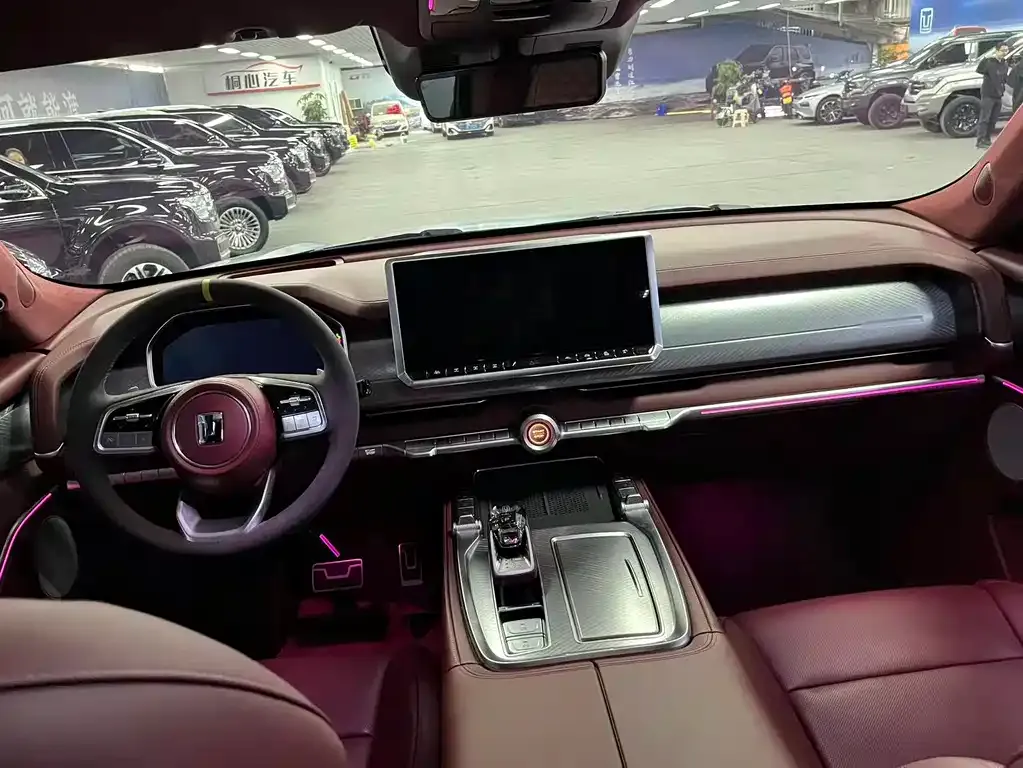 Tank 700 New Energy 2024 из CN, фото 7