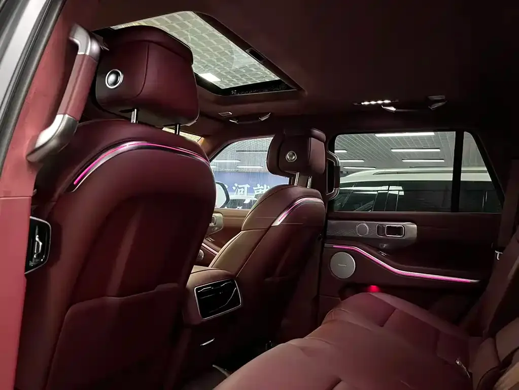 Tank 700 New Energy 2024 из CN, фото 3