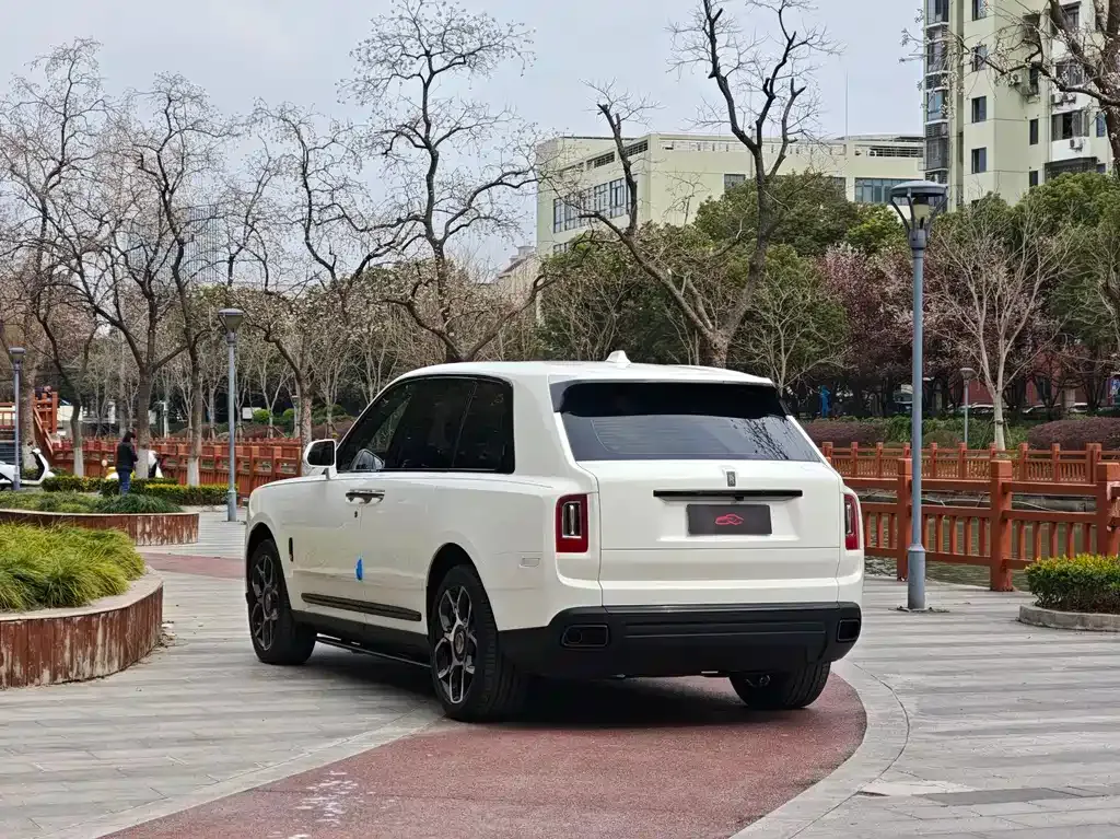 Rolls-Royce Cullinan 2022 из CN, фото 8