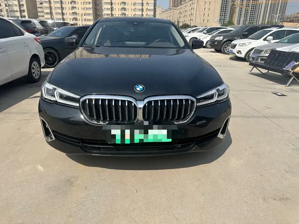 BMW 5 Series New Energy 2021 из CN, фото 7