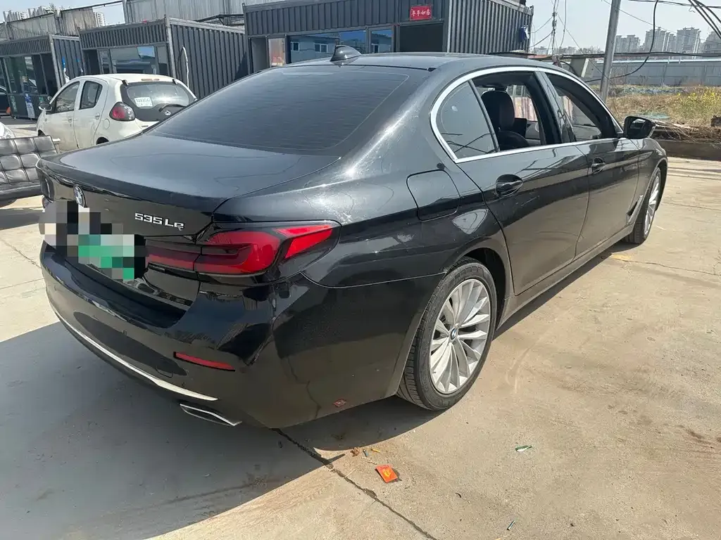 BMW 5 Series New Energy 2021 из CN, фото 8