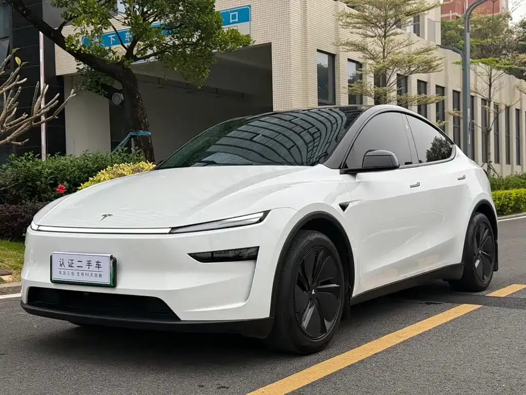 Tesla Model Y — фото 1