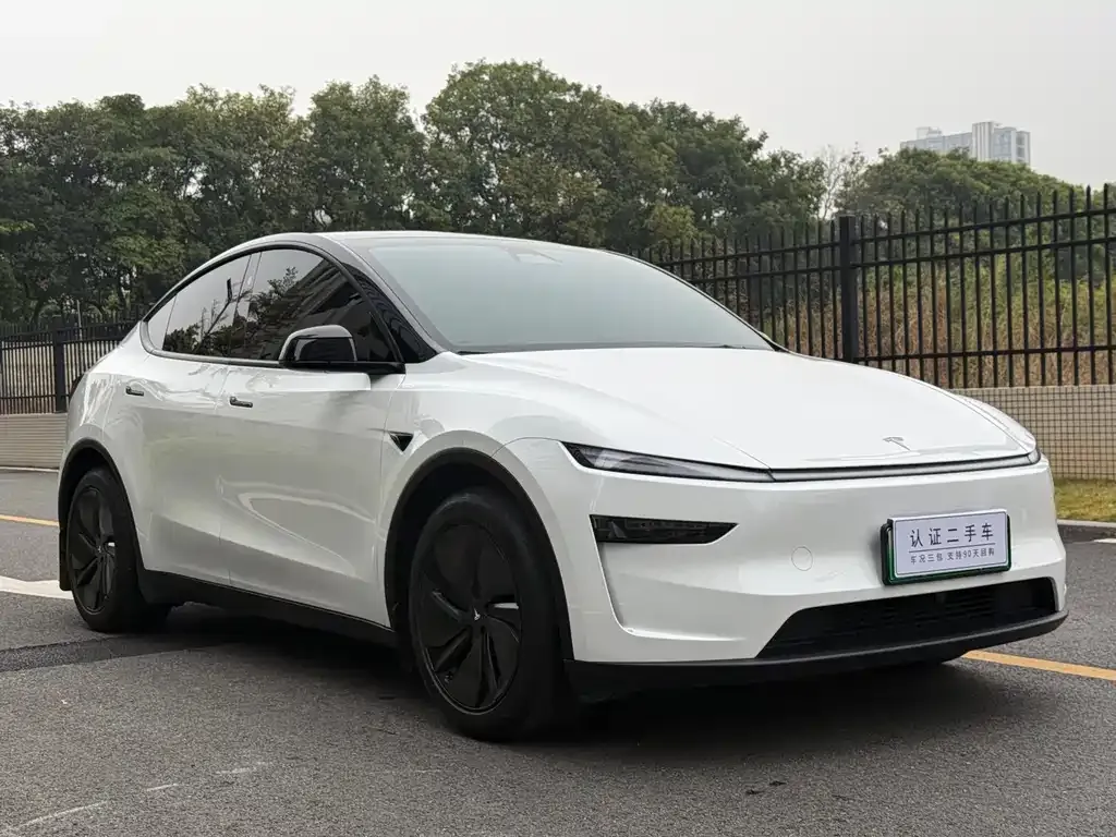 Tesla Model Y — фото 8