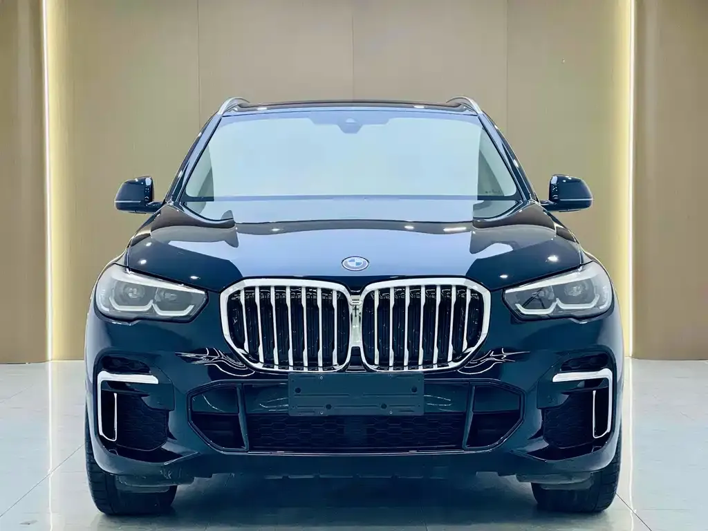 BMW X5 — фото 5