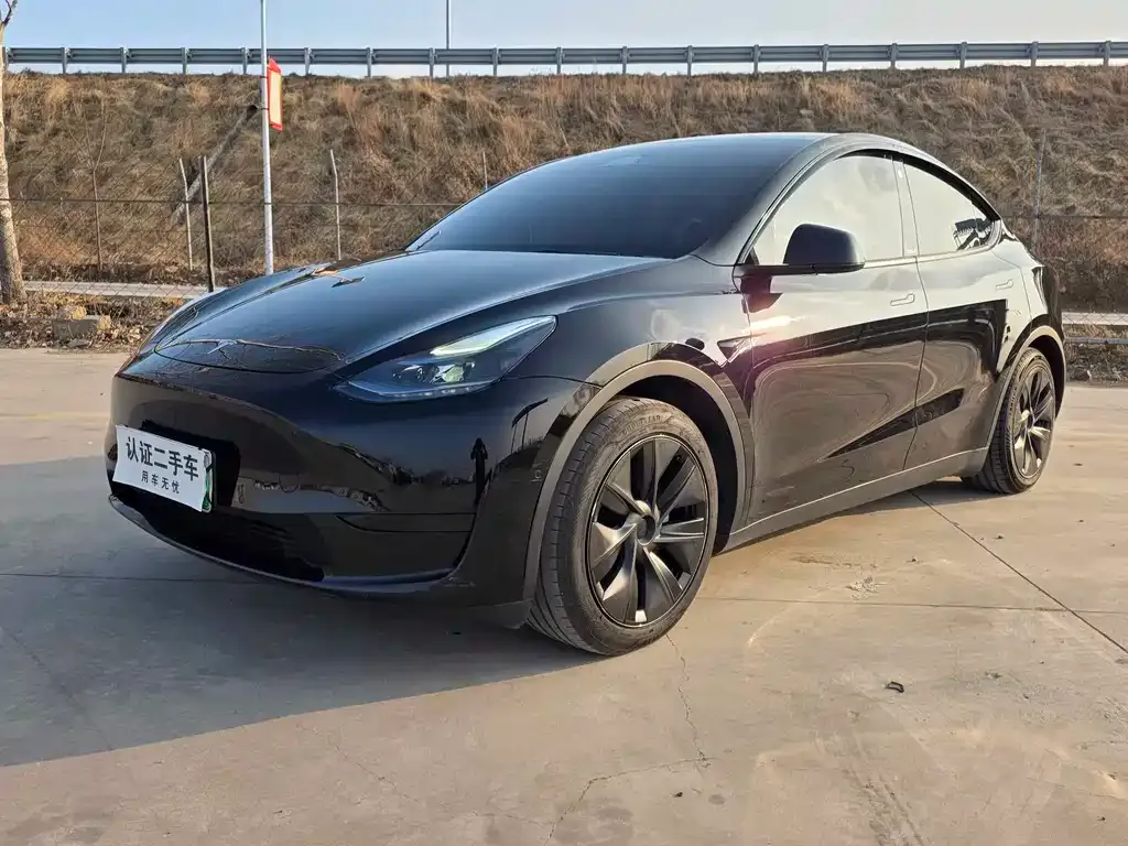 Tesla Model Y — фото 1