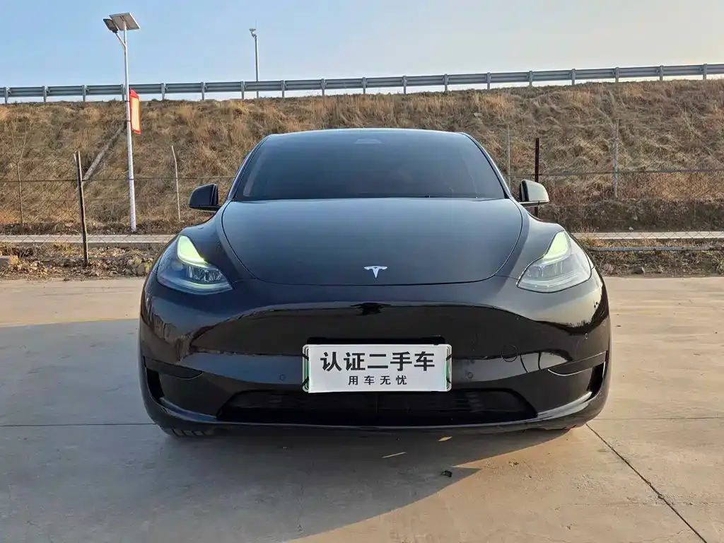 Tesla Model Y — фото 4