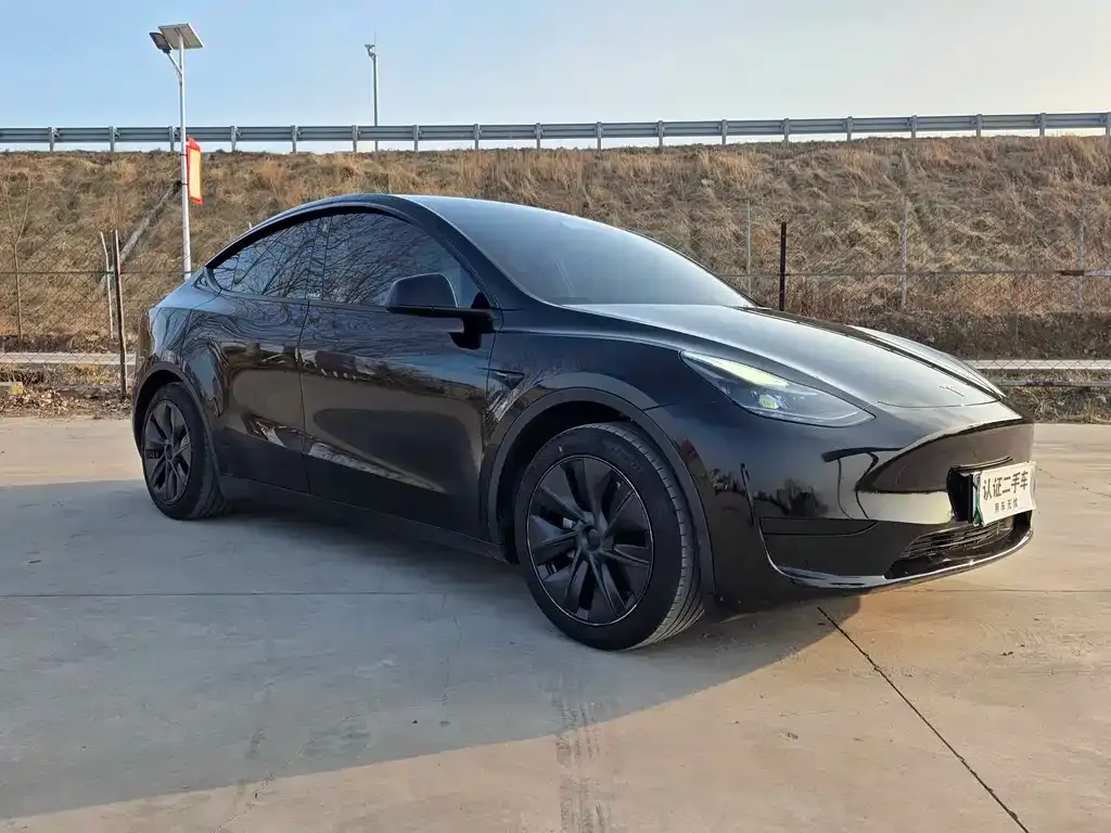 Tesla Model Y — фото 8