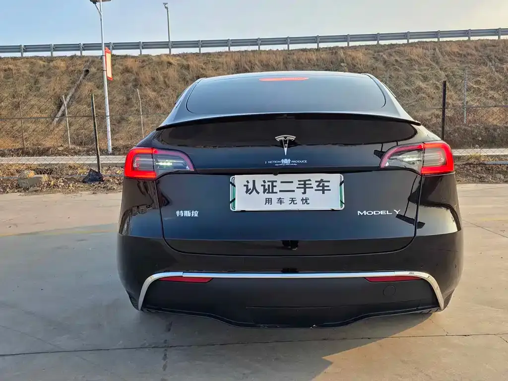 Tesla Model Y — фото 10