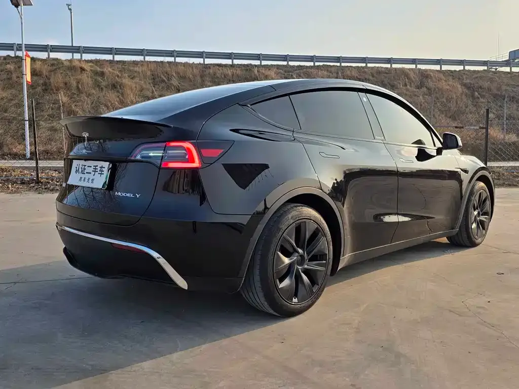 Tesla Model Y — фото 3