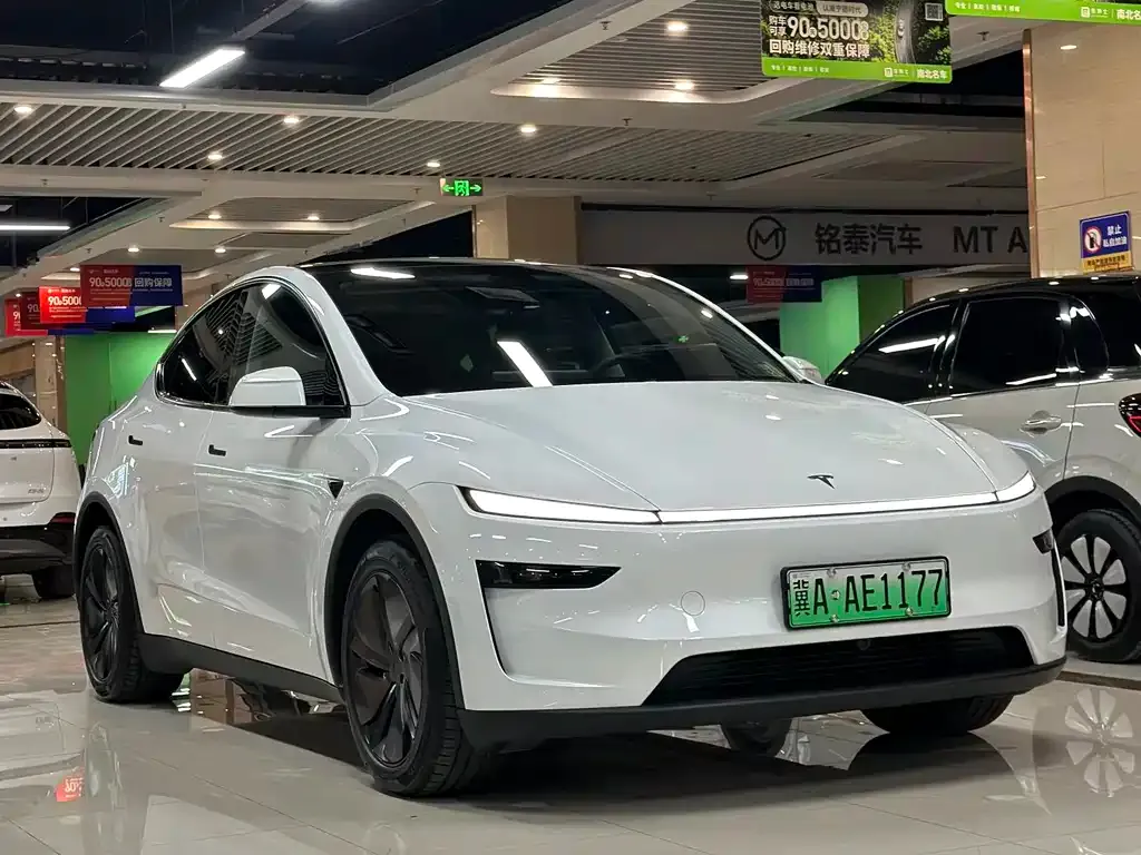 Tesla Model Y — фото 1