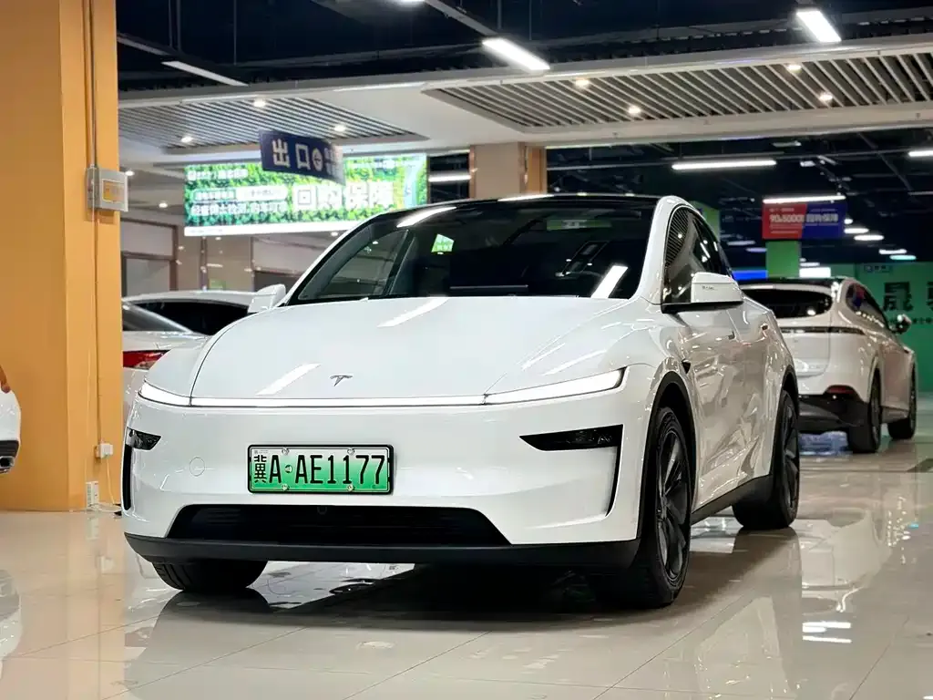 Tesla Model Y — фото 10