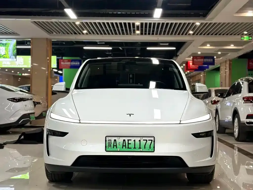 Tesla Model Y — фото 3