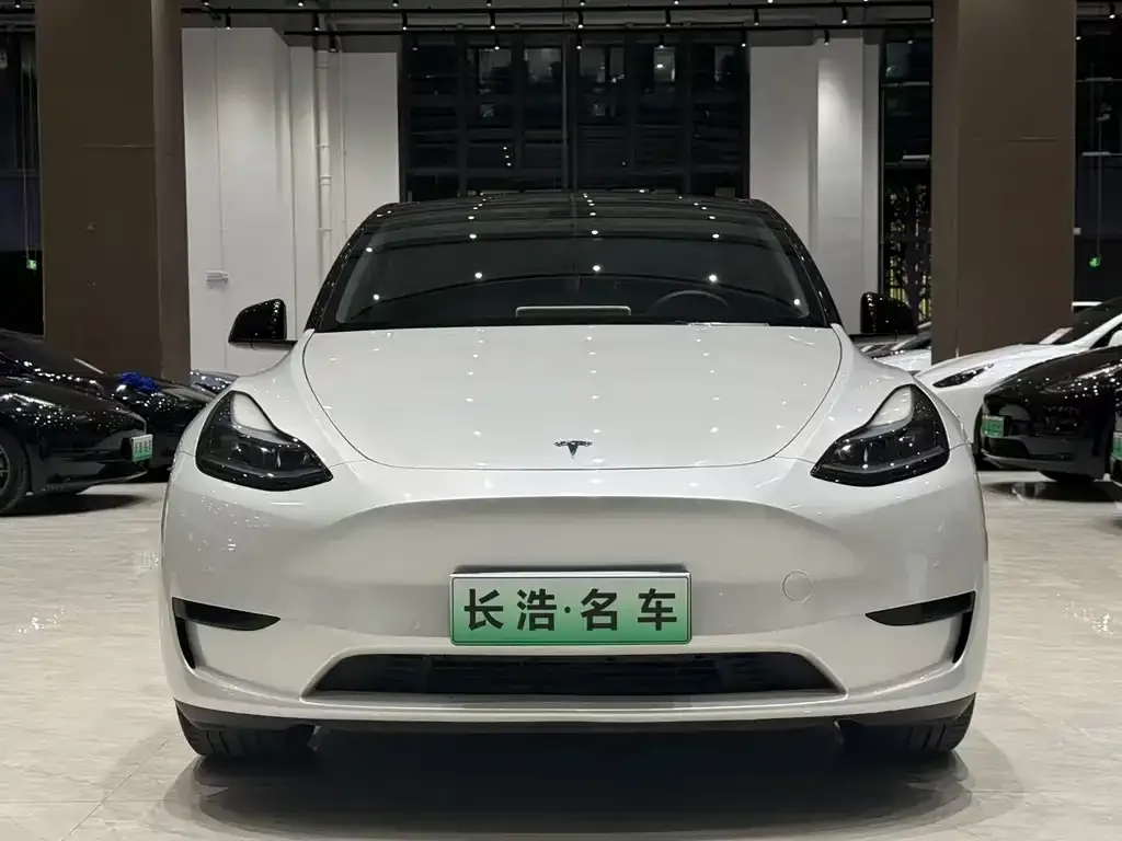 Tesla Model Y — фото 9