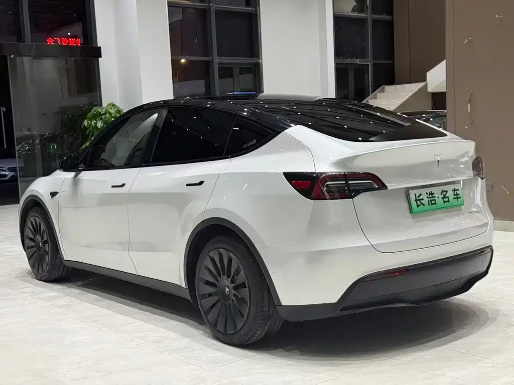 Tesla Model Y — фото 2