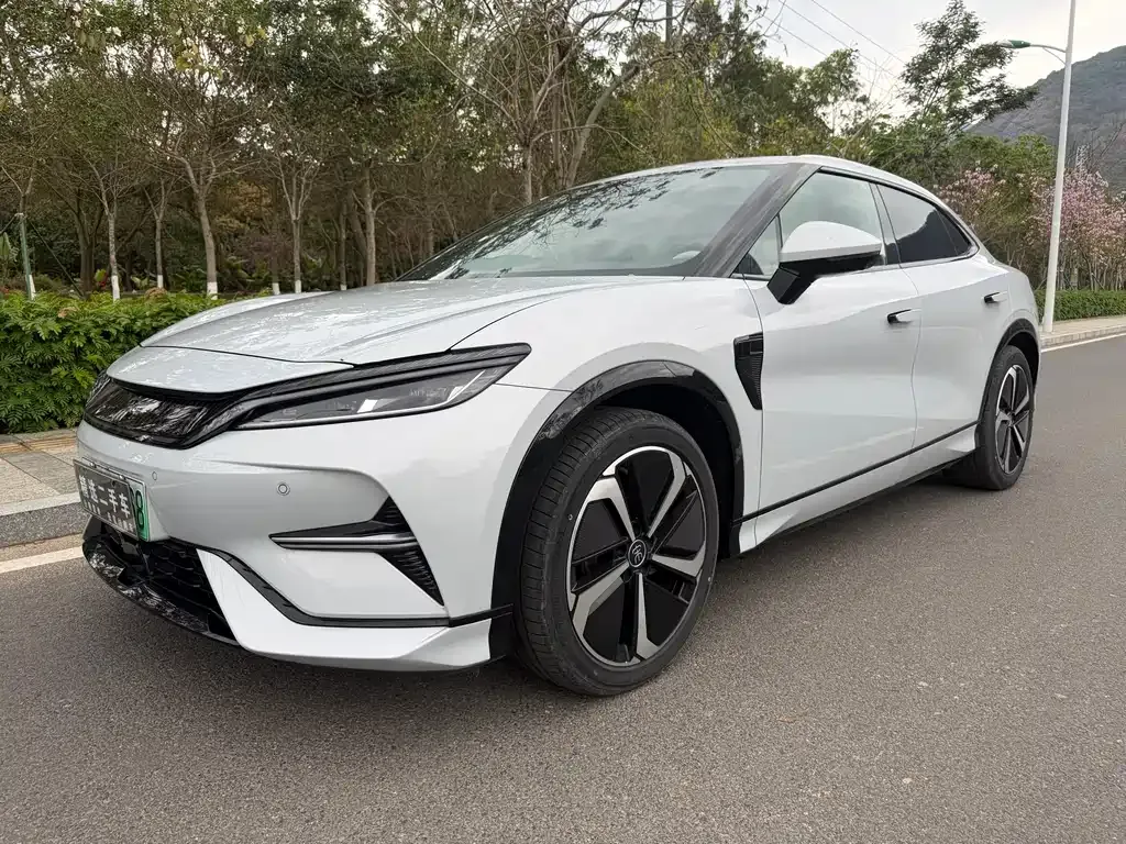 BYD L EV