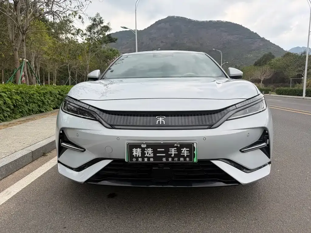 BYD L EV 2024 из CN, фото 3