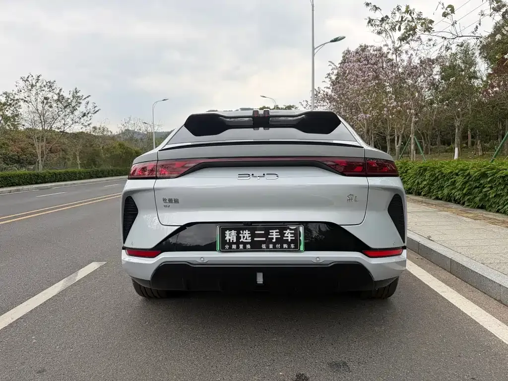 BYD L EV 2024 из CN, фото 8