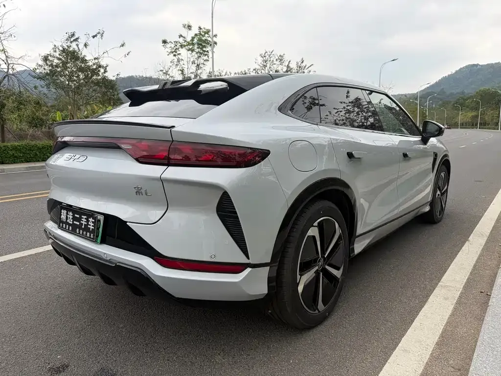BYD L EV 2024 из CN, фото 7