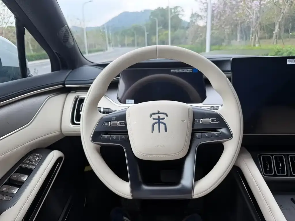 BYD L EV 2024 из CN, фото 9