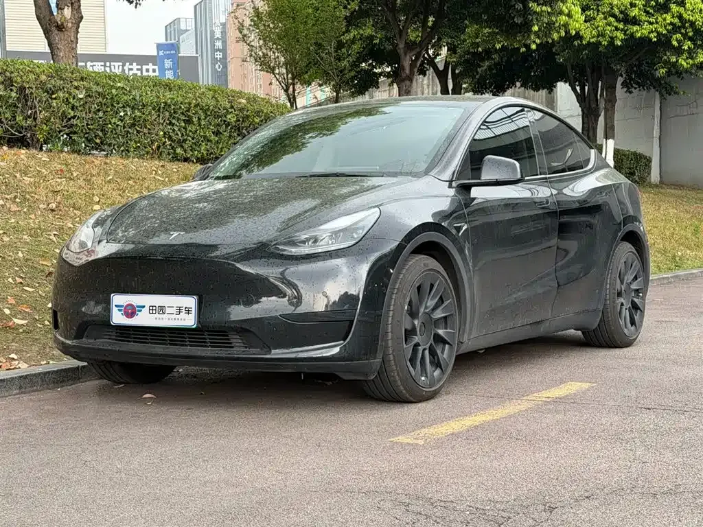 Tesla Model Y — фото 1