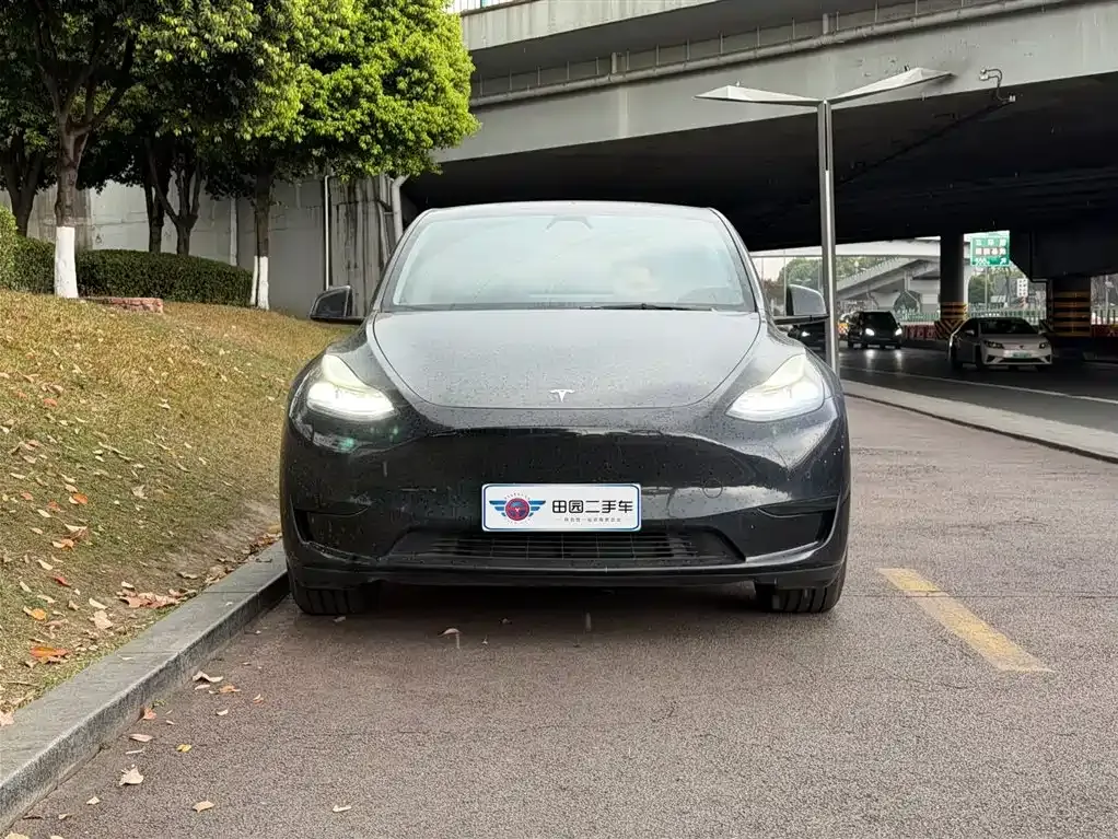 Tesla Model Y — фото 2