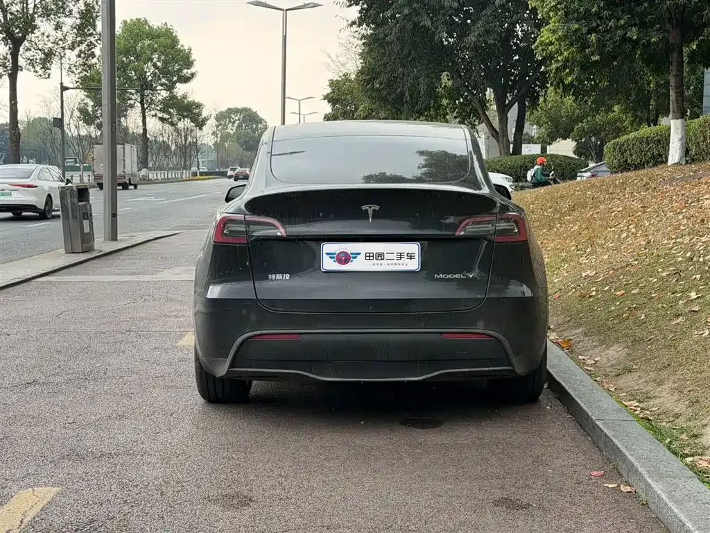 Tesla Model Y — фото 5