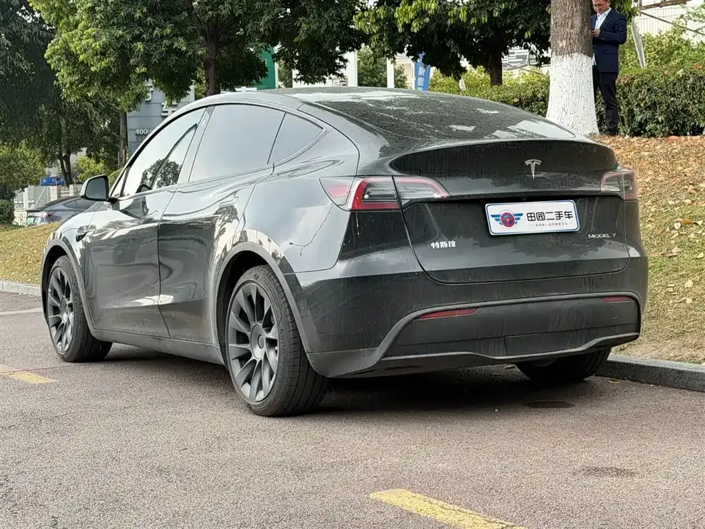 Tesla Model Y — фото 6