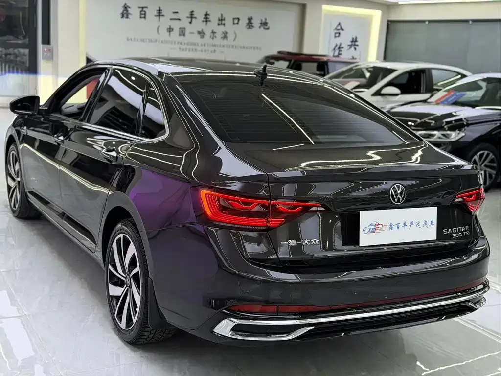 Volkswagen Sagitar 2023 из CN, фото 8