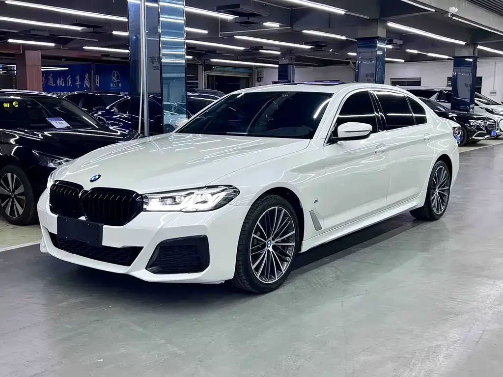 BMW 5 Series 2021 из CN, фото 1