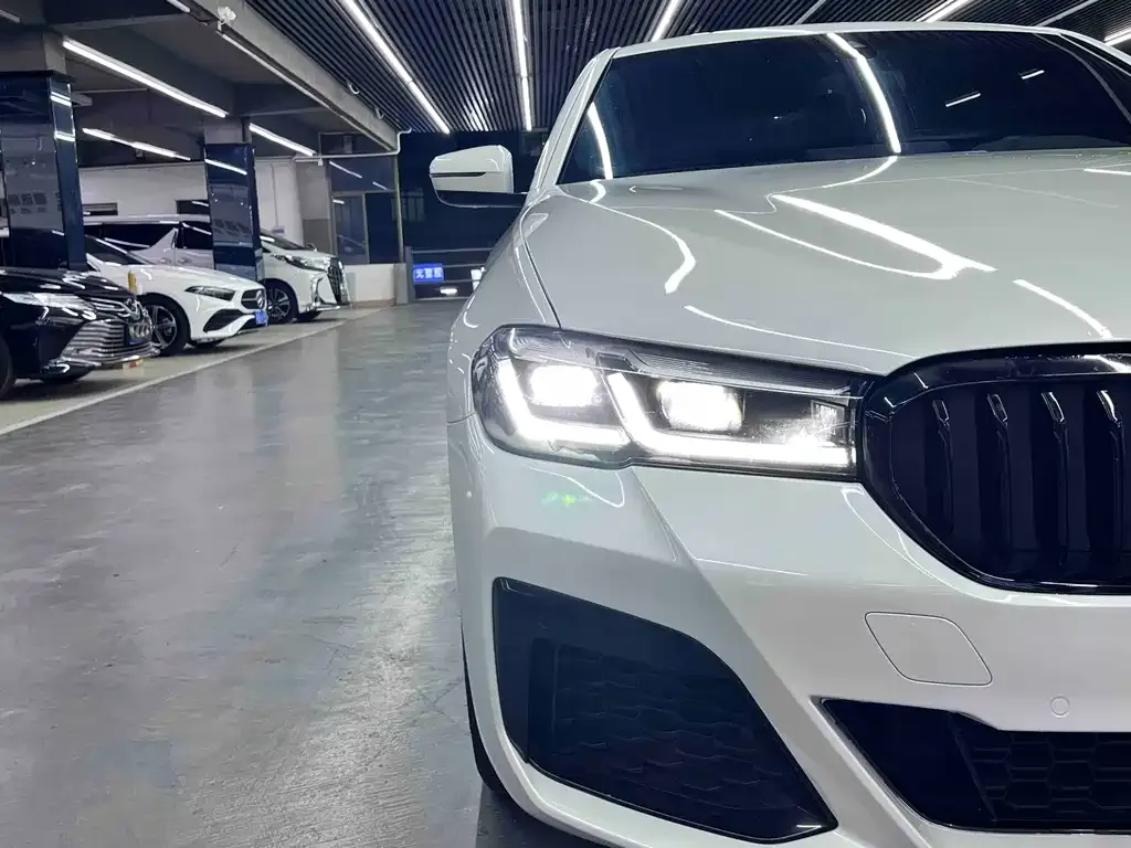 BMW 5 Series 2021 из CN, фото 2