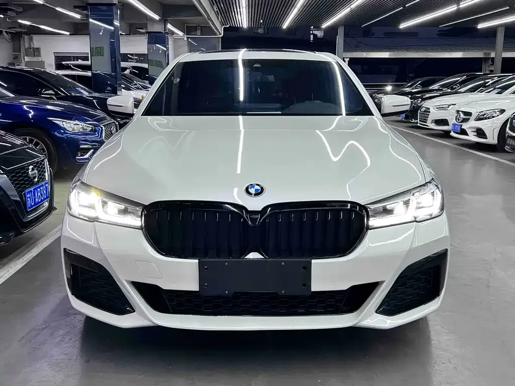 BMW 5 Series 2021 из CN, фото 5
