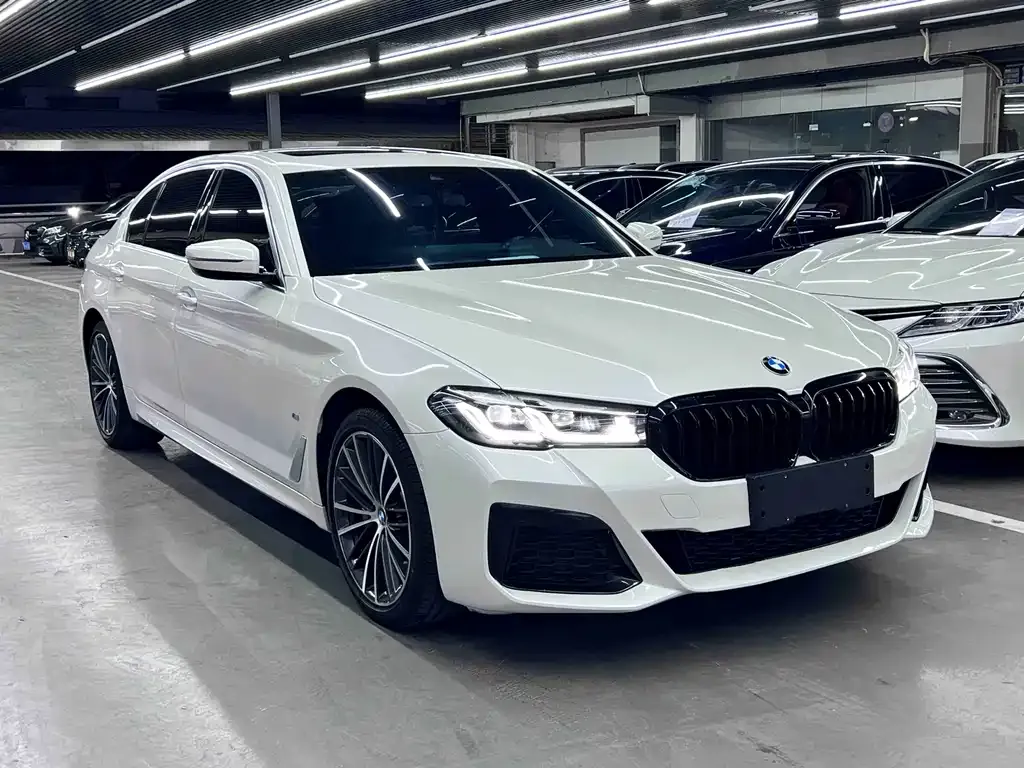 BMW 5 Series 2021 из CN, фото 4