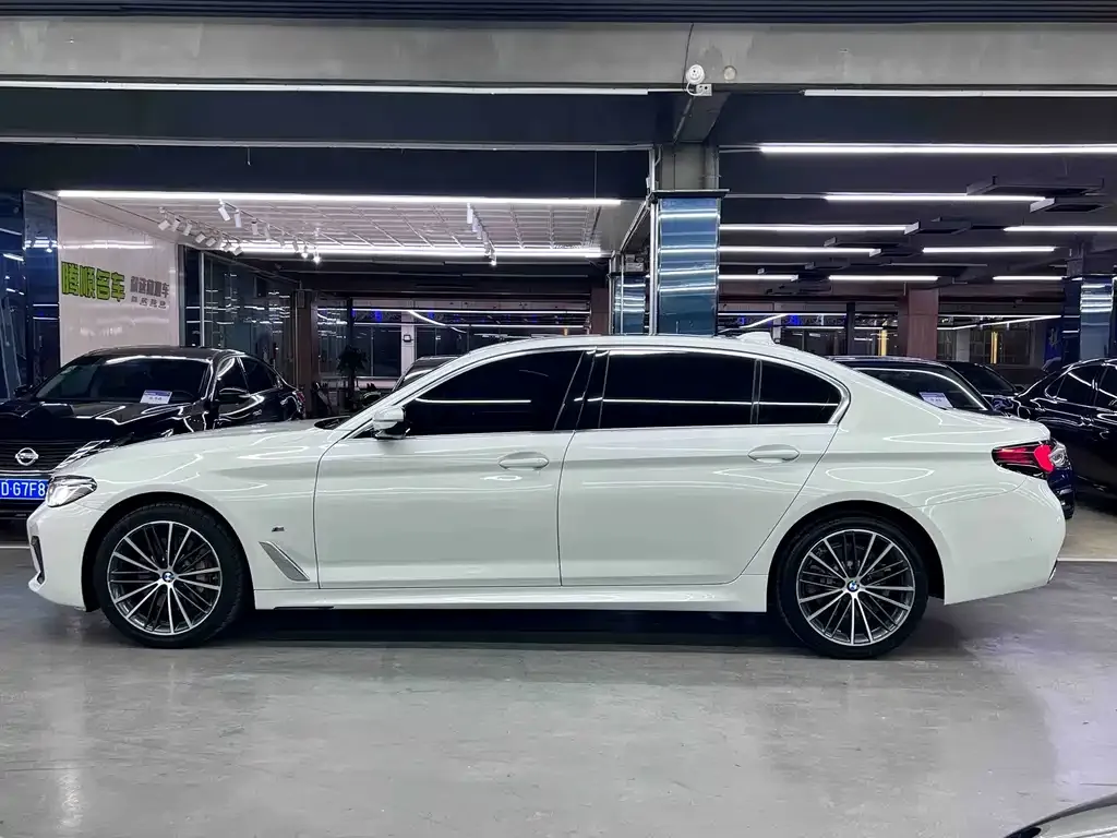 BMW 5 Series 2021 из CN, фото 7