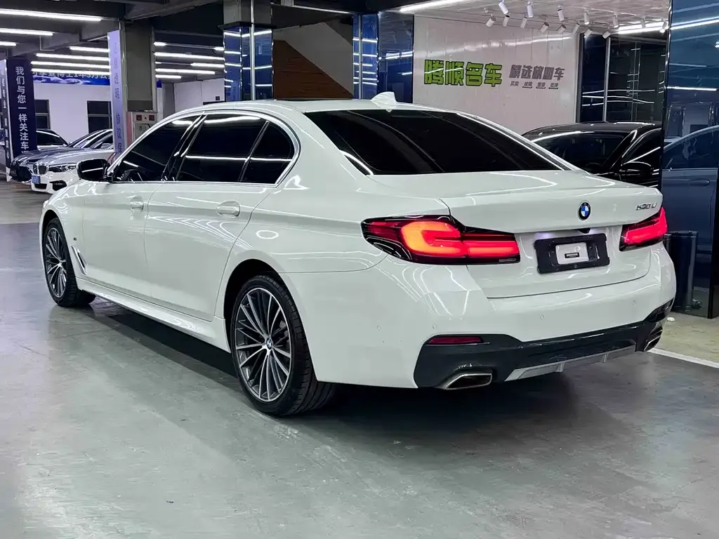 BMW 5 Series 2021 из CN, фото 6