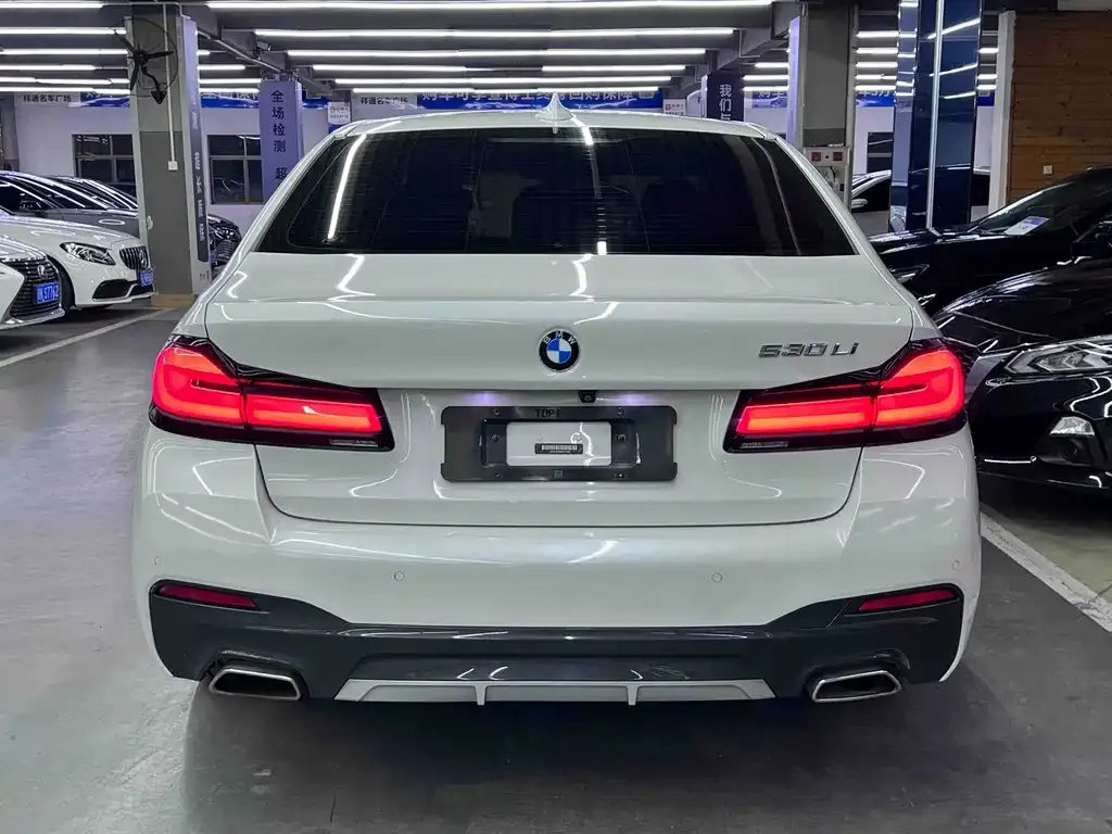 BMW 5 Series 2021 из CN, фото 3