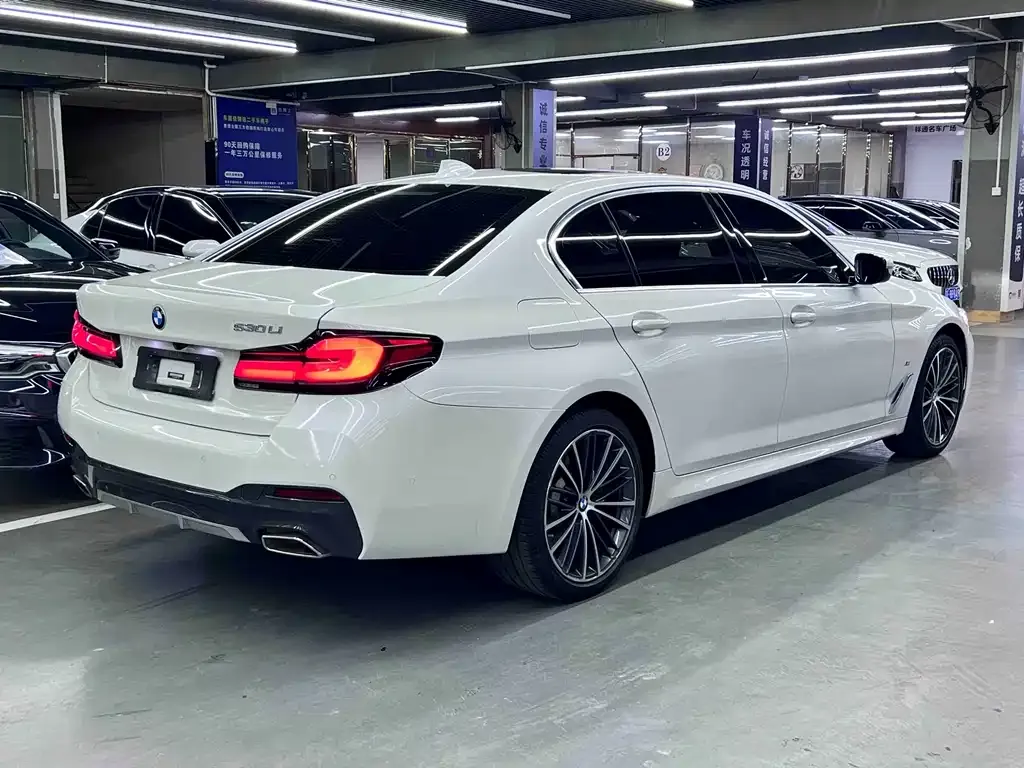 BMW 5 Series 2021 из CN, фото 8