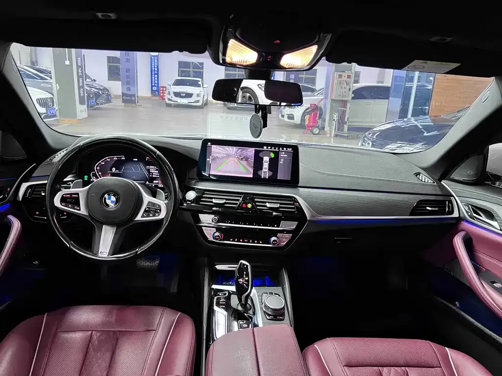 BMW 5 Series 2021 из CN, фото 9