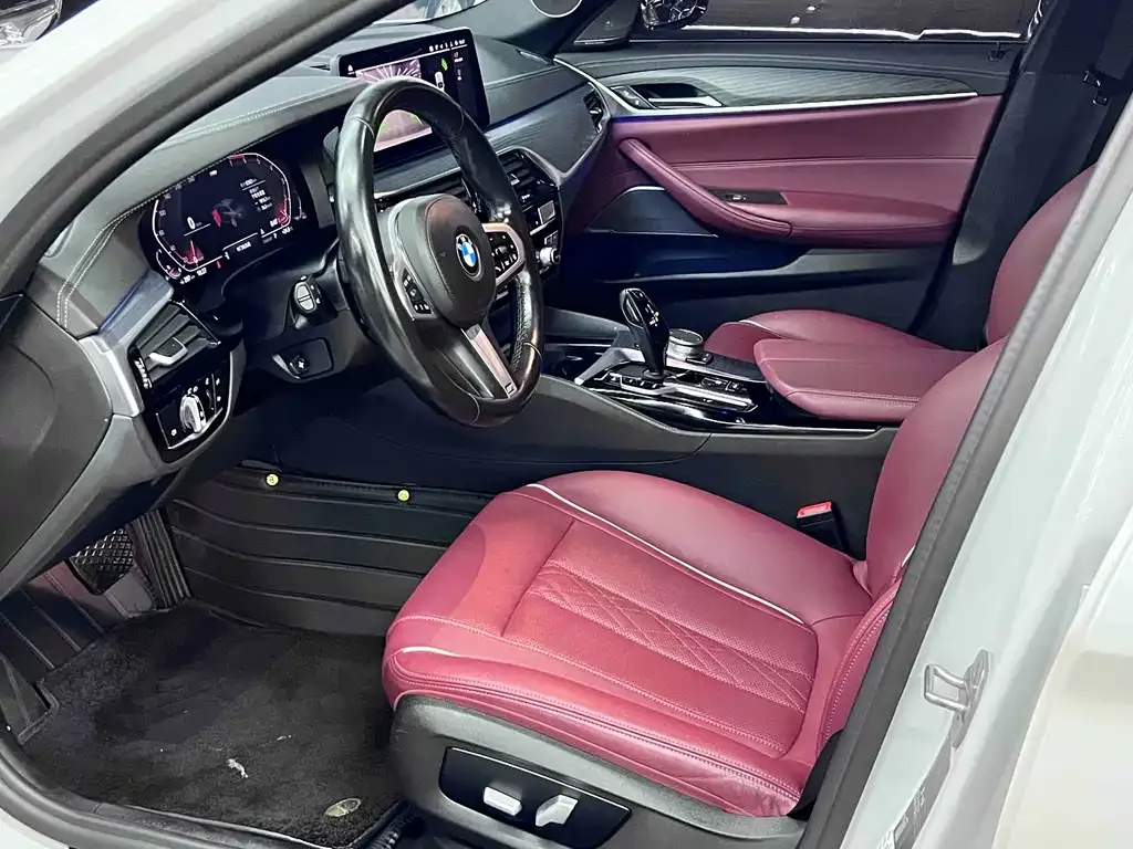 BMW 5 Series 2021 из CN, фото 10