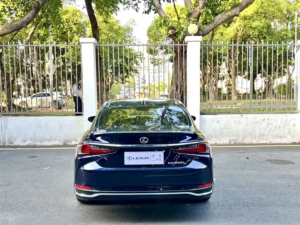 Lexus ES 2024 из CN, фото 8