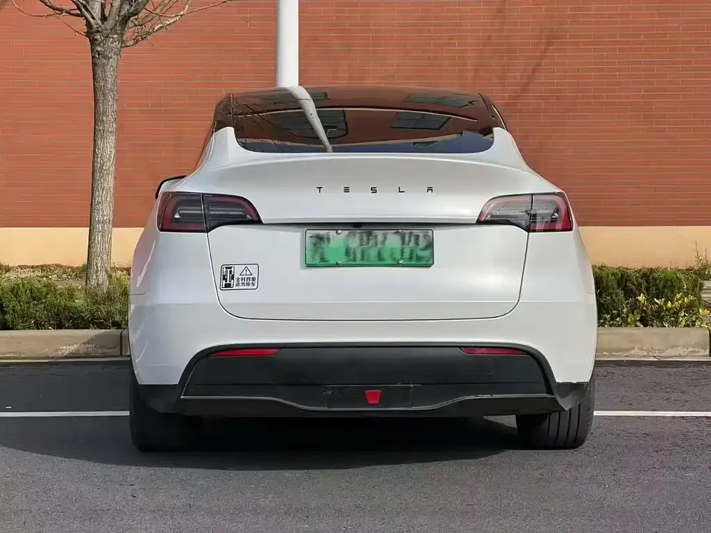 Tesla Model Y — фото 8