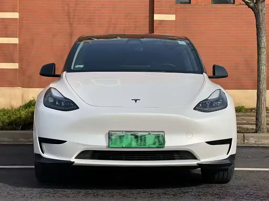 Tesla Model Y — фото 2