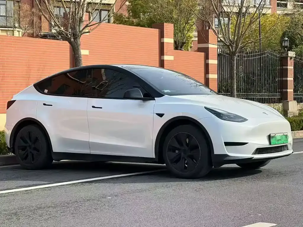 Tesla Model Y — фото 9