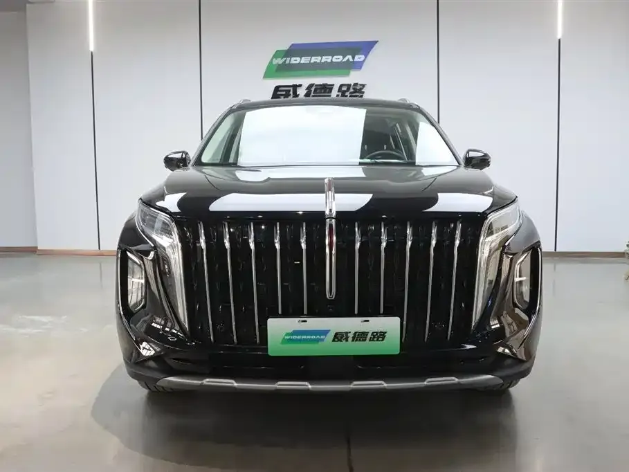 Hongqi HS7 PHEV 2024 из CN, фото 6